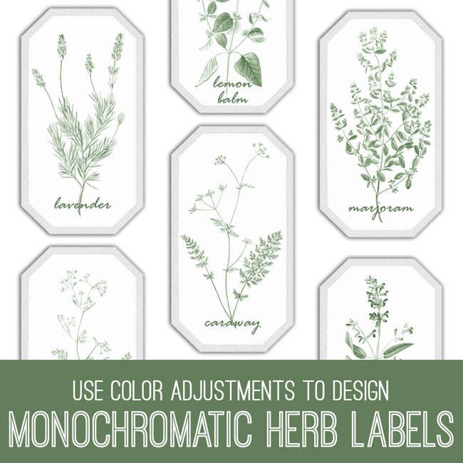 Herbs Collage labels