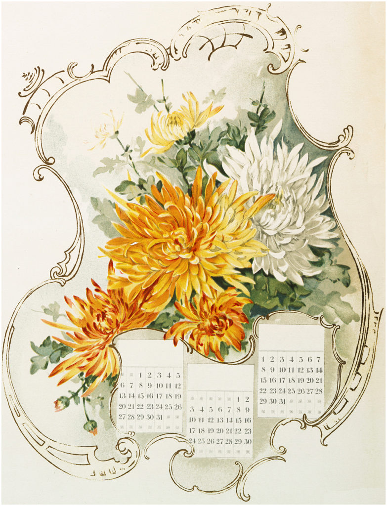 Floral Mums Calendar Image