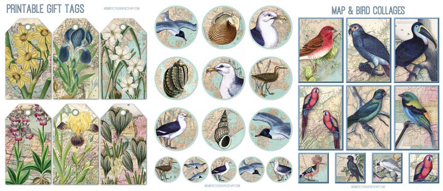 maps collage with birds