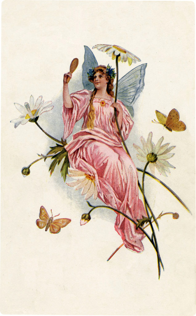 Pink Fairy Picture