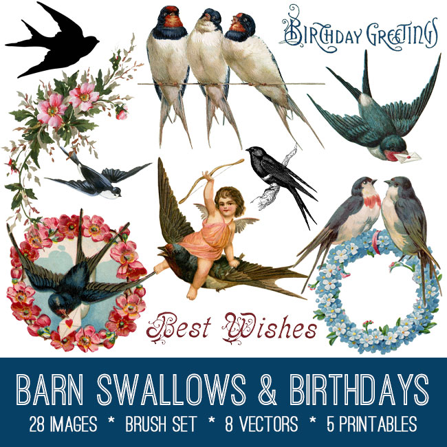 Barn Swallows and Birthdays collage with birds and flowers