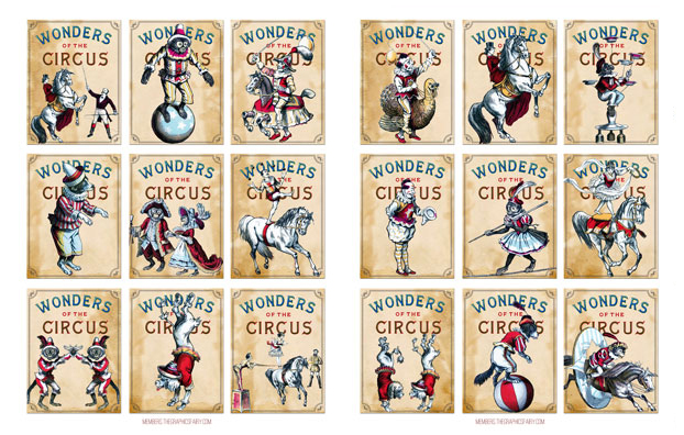 Animals Circus collage