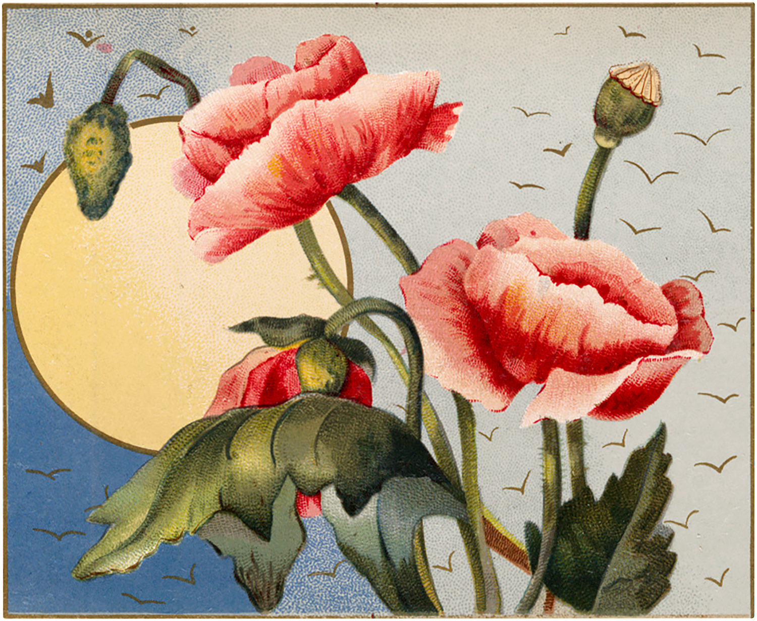 Vintage Poppies Journaling Card