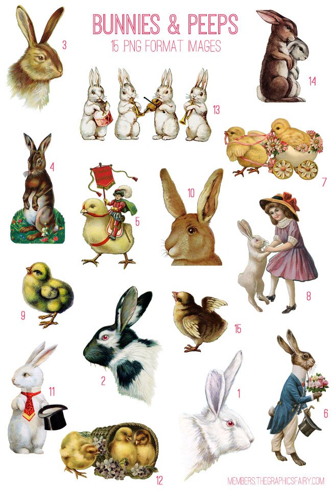 Easter collage with bunnies and chicks