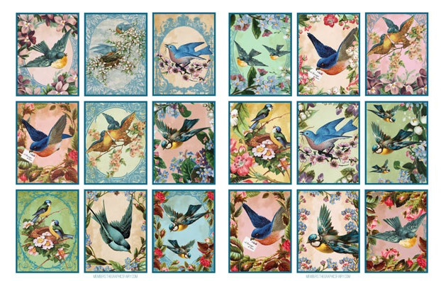 Bluebird collage
