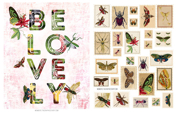 Insects Collage with butterflies and moths