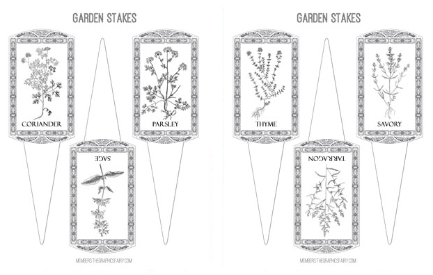 Herbs collage garden stakes