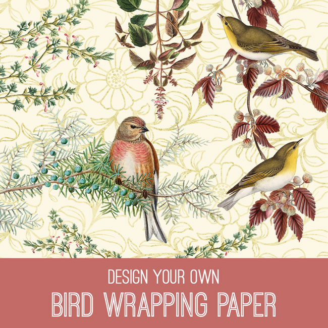 birds wrapping paper