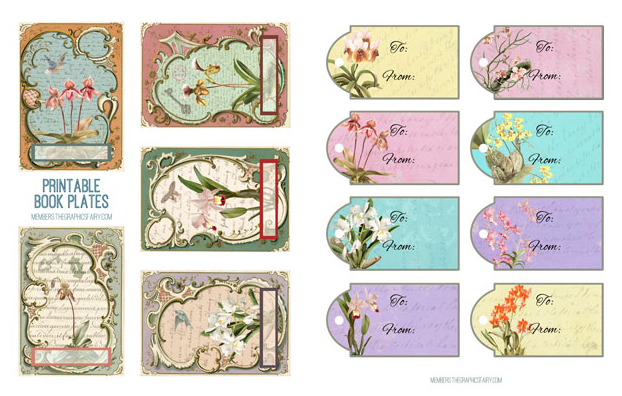Orchid Flowers Collage tags