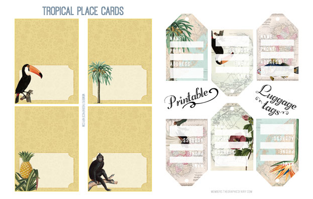 tropical paradise Collage with birds tags