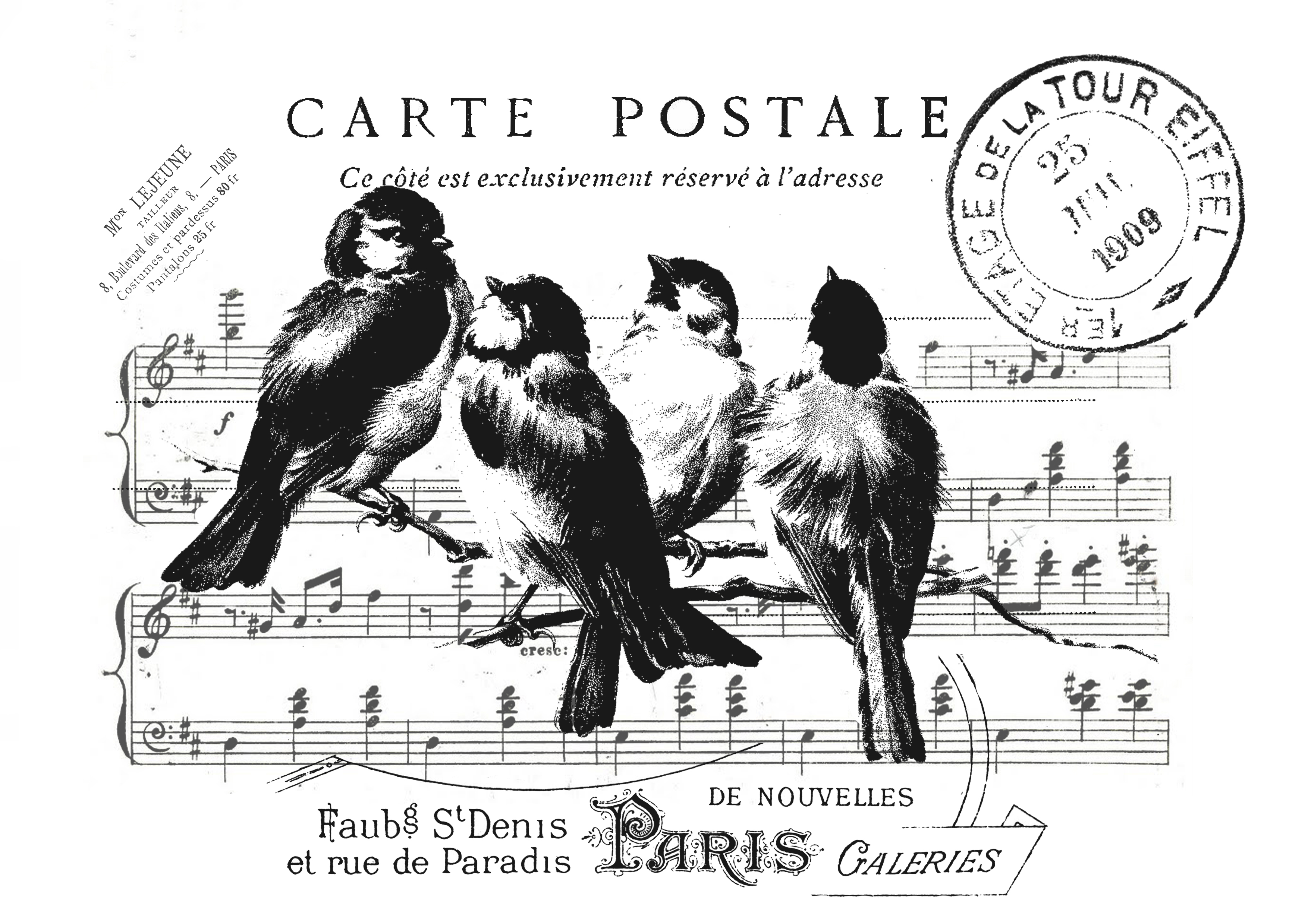 carte postale bird collage 