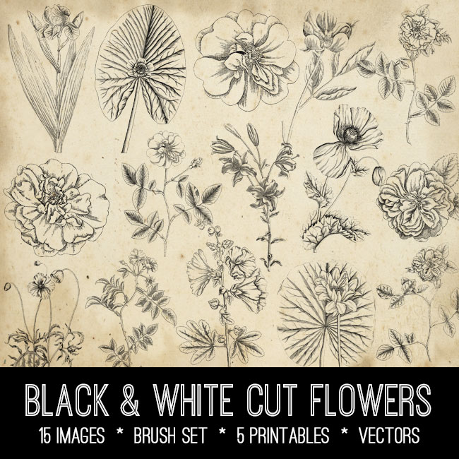 black and white flowers collage