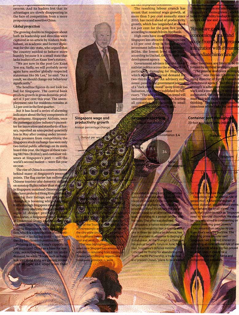 Junk Mail newspaper journal page with peacocks and feathers