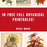 Fall Botanicals Pin