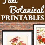 10+ Vintage Free Fall Botanical Printables! - The Graphics Fairy