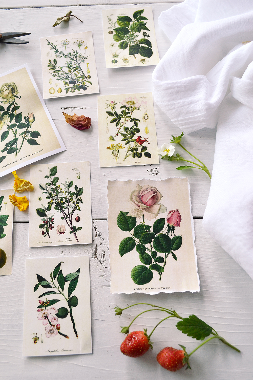 DIY Botanical Flower Gift Tags