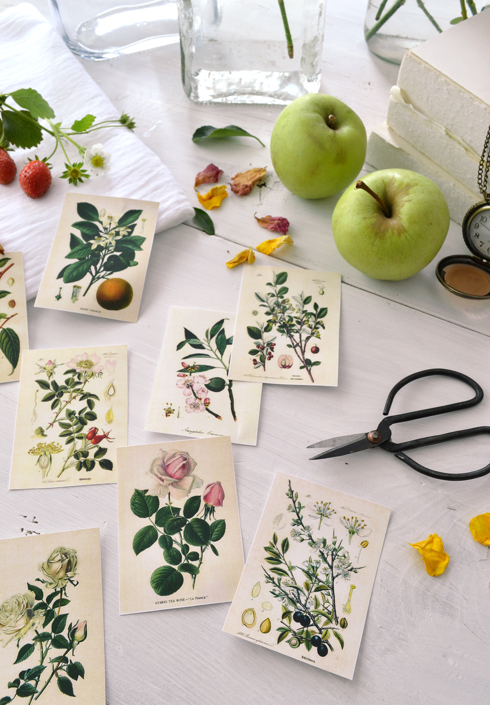 Botanical Stickers on table