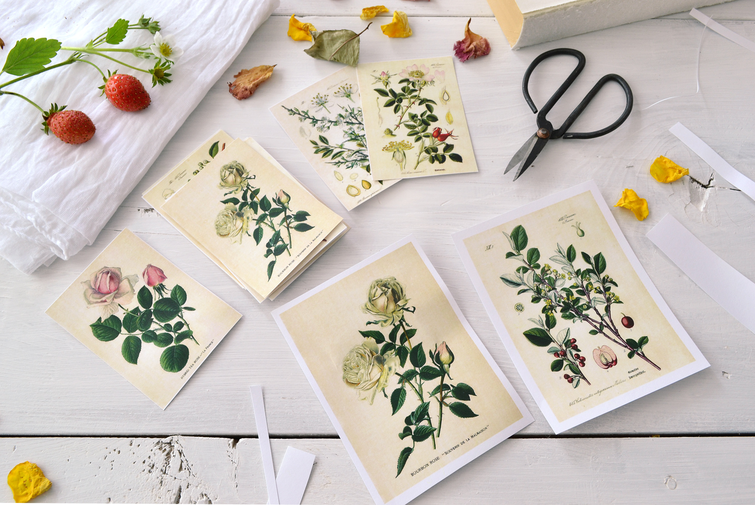 Botanical Stickers cutting out