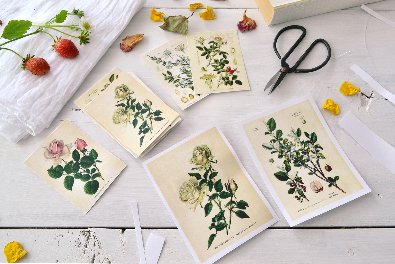 Botanical Stickers