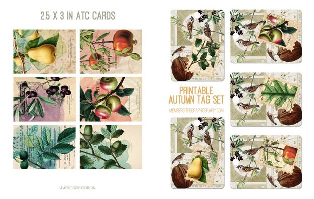 autumn botanicals collage with nuts and fruit and birds
