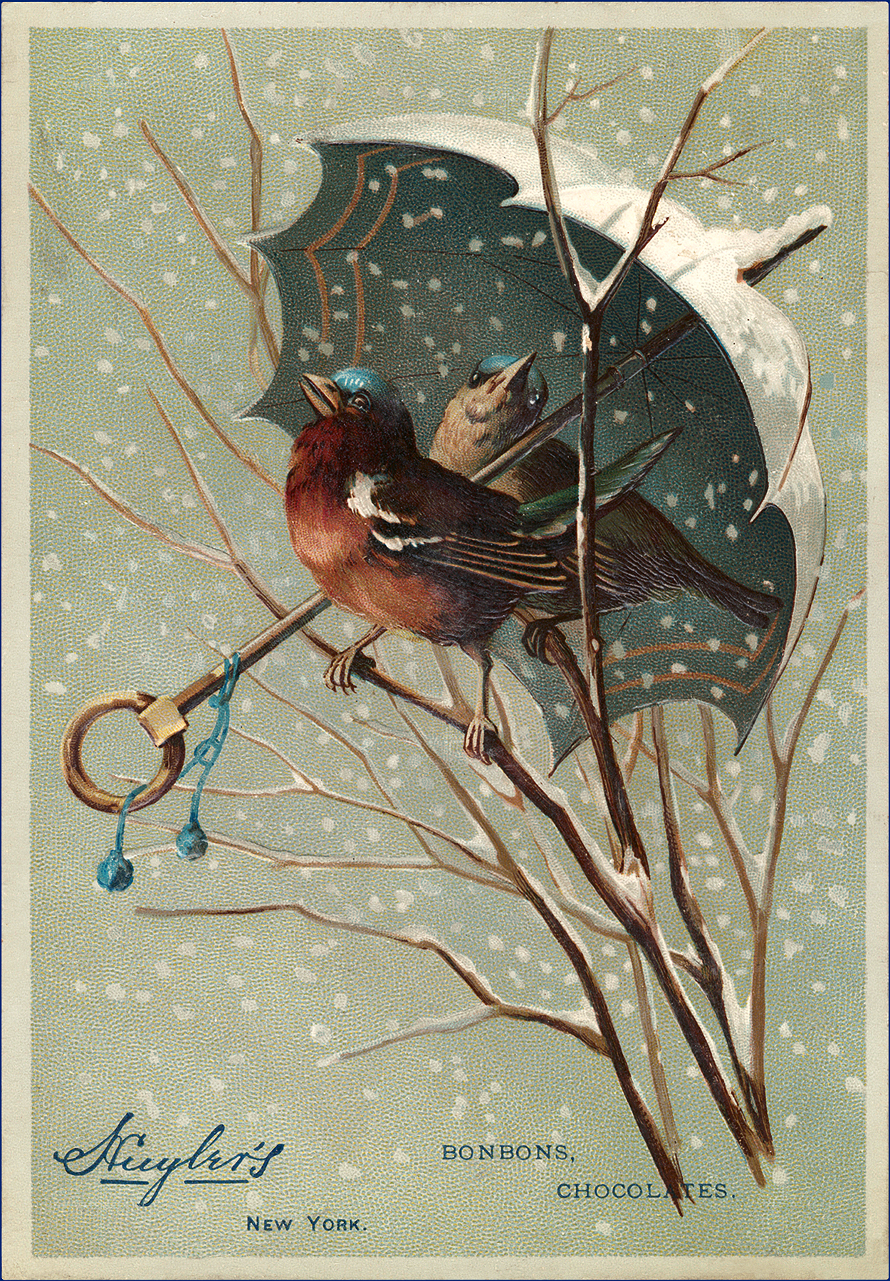 Old Songbird Robins In Snow Graphic The Graphics Fairy