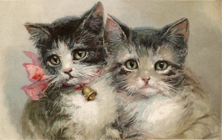 Vintage Adorable Kittens Image! - The Graphics Fairy