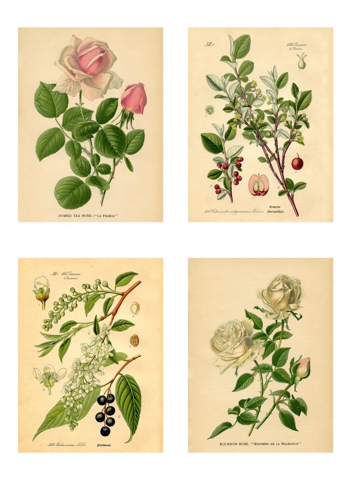 Botanical Stickers