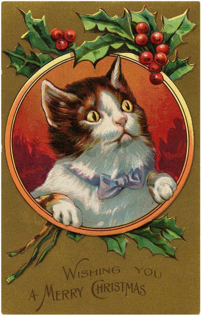 Christmas Cat with Holly Frame Image