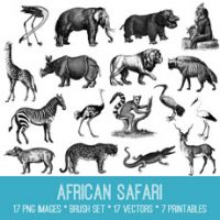 African Safari animals collage