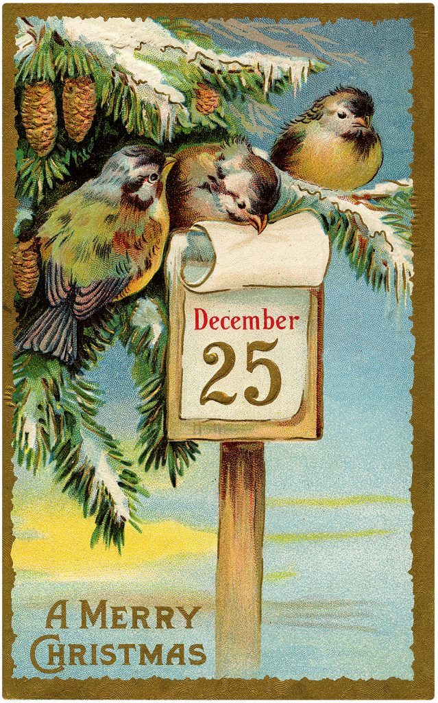 Christmas Birds on Tree Postcard