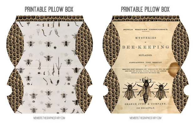 Beekeeping Collage with Bees boxes