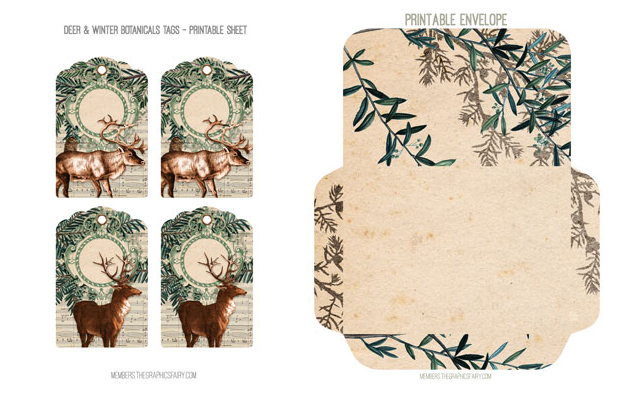 Wintery greenery collage with pine branches and deer