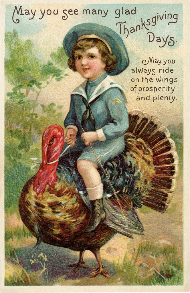 Sailor Boy Rides Turkey Picture Funny