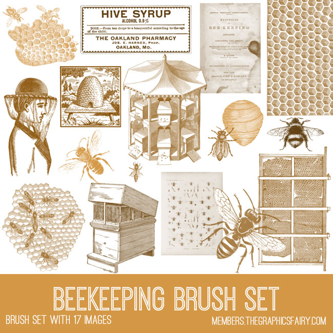 Beekeeping Collage with Bees