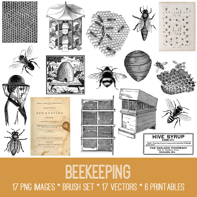 Beekeeping Collage with Bees