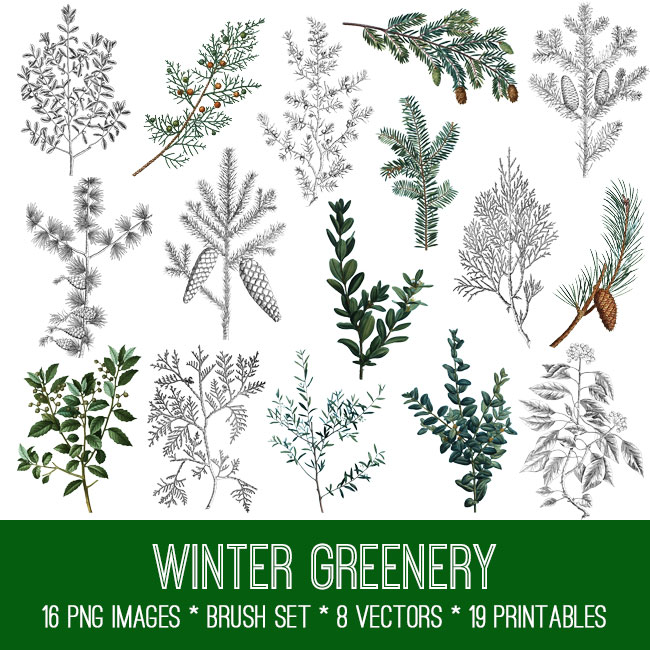 Winter Greenery Bundle