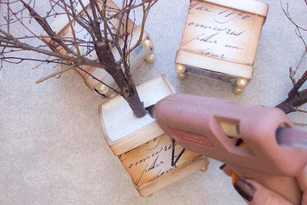 gluing trees into boxes