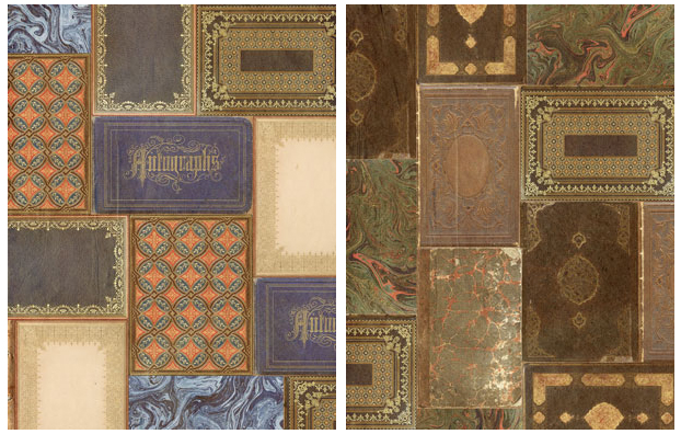 Book covers and tintypes Collage