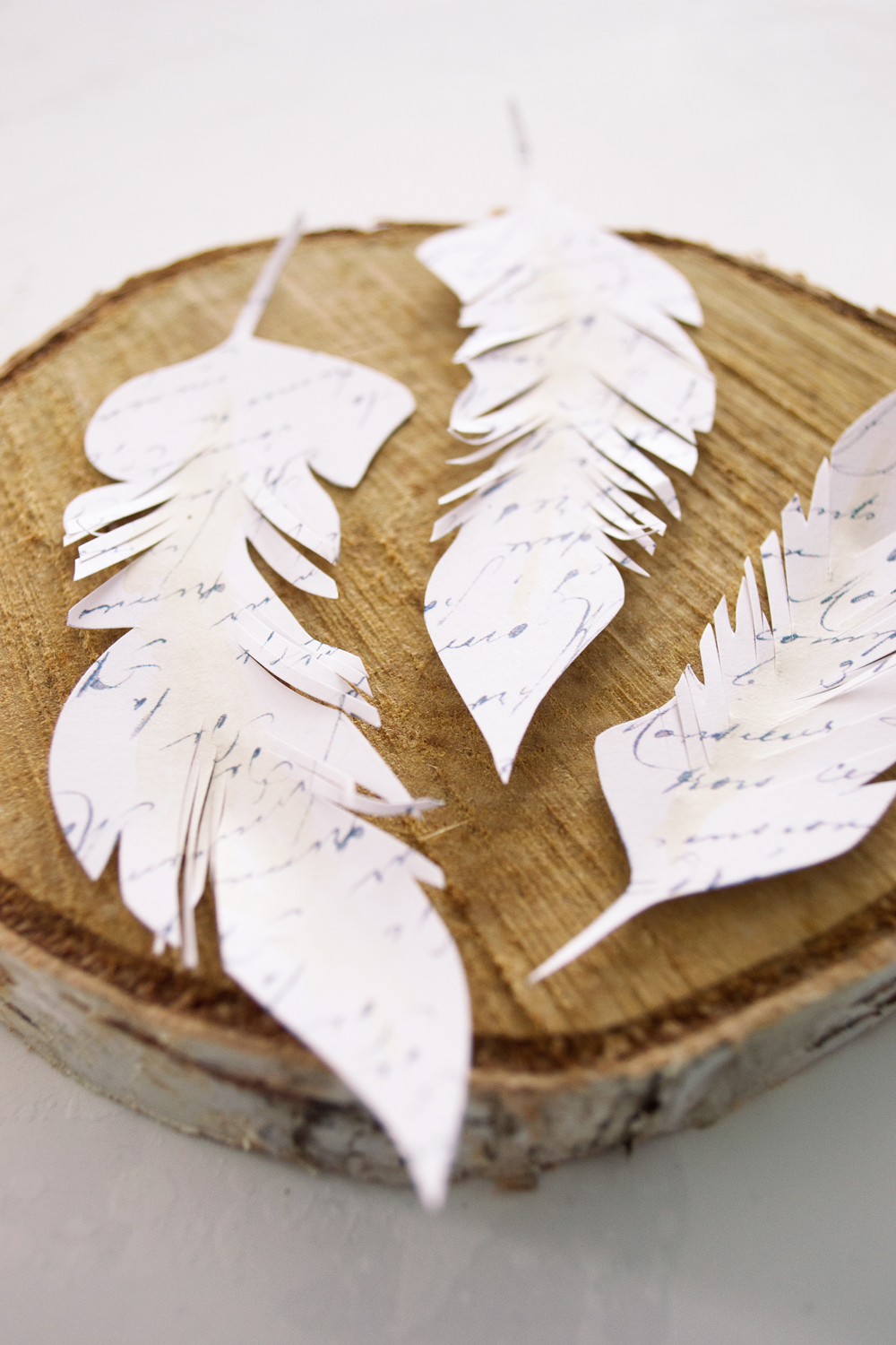 Paper Feather Craft Ideas - DIY Inspired