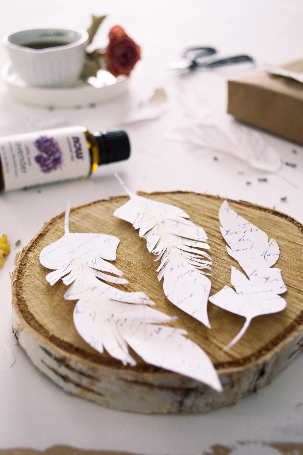 Printable Paper Feathers