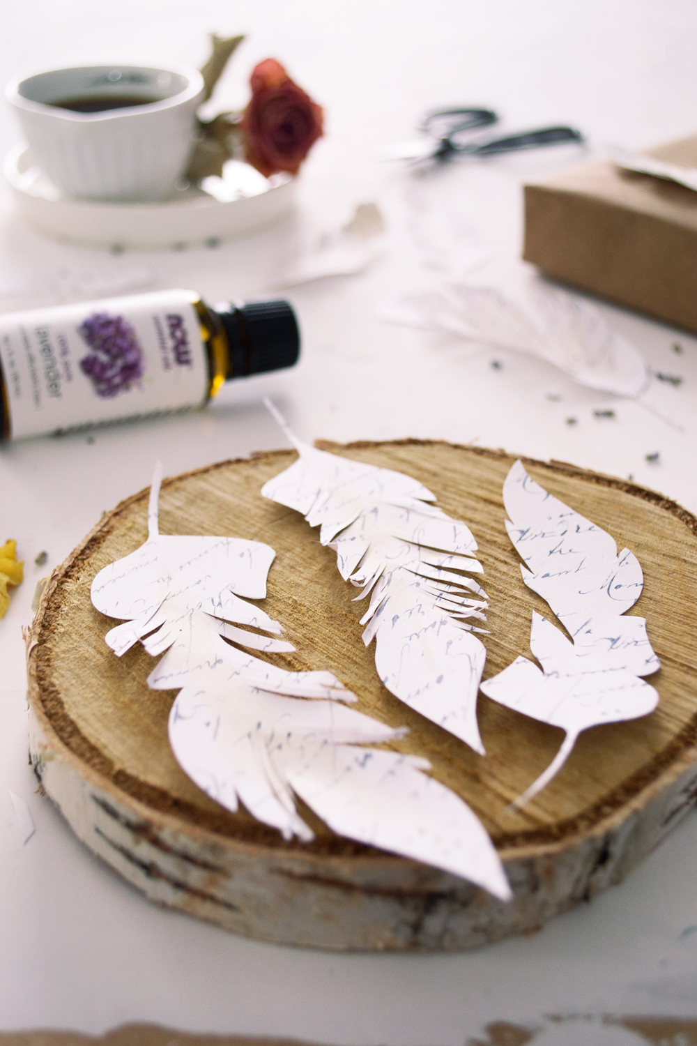 Paper Feather Craft Ideas - DIY Inspired