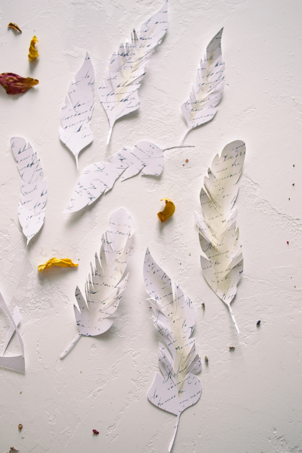 Script paper feathers
