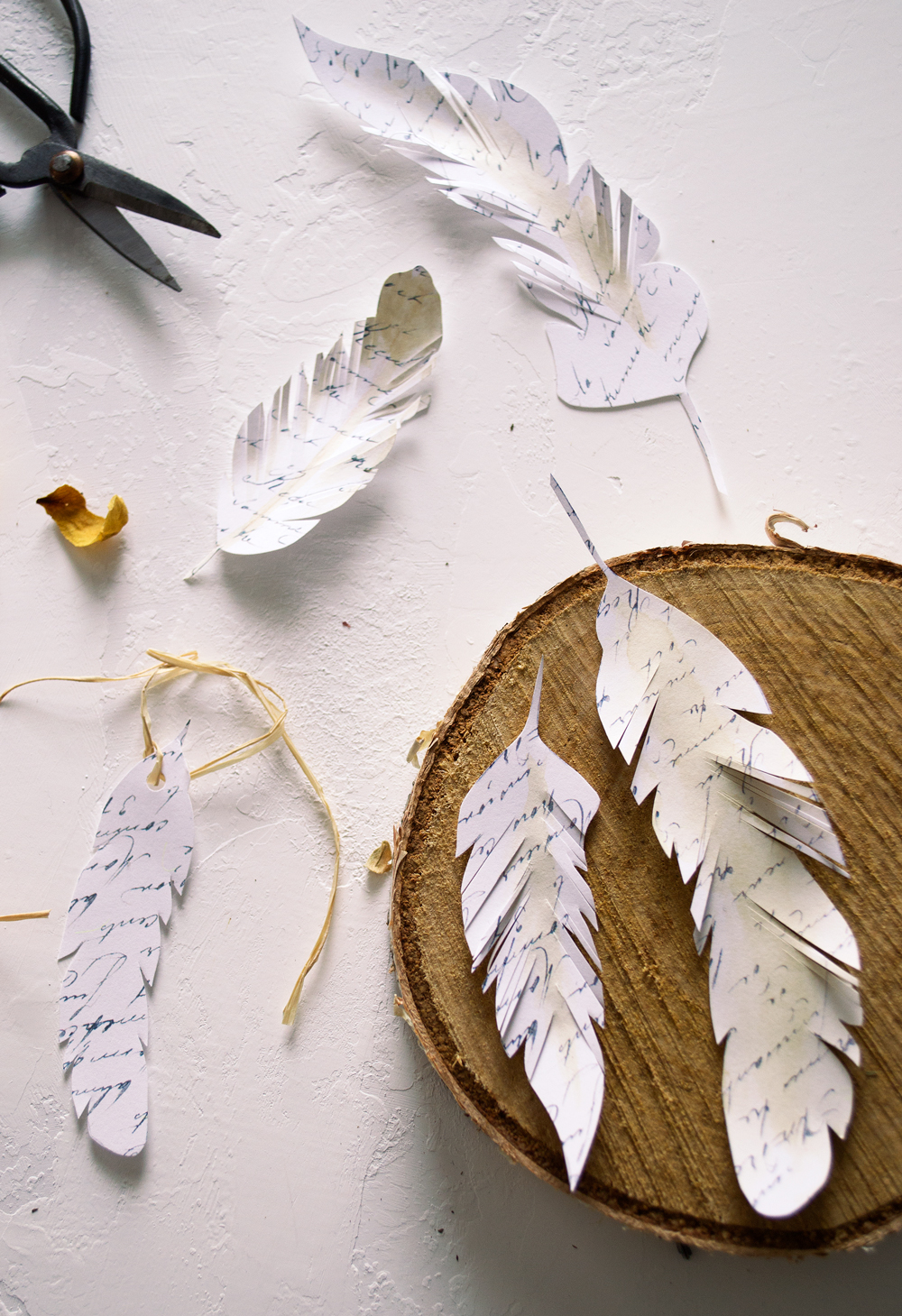 Paper Feathers Craft