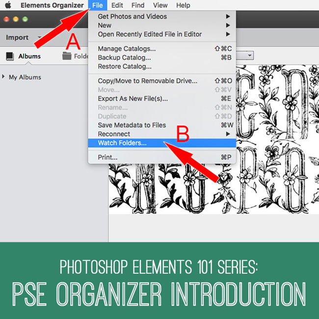how to use pse organizer 