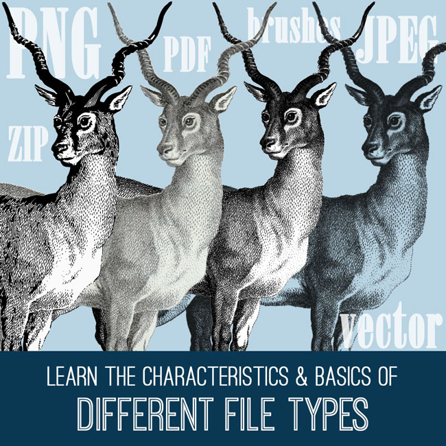 Deer with antlers and file types