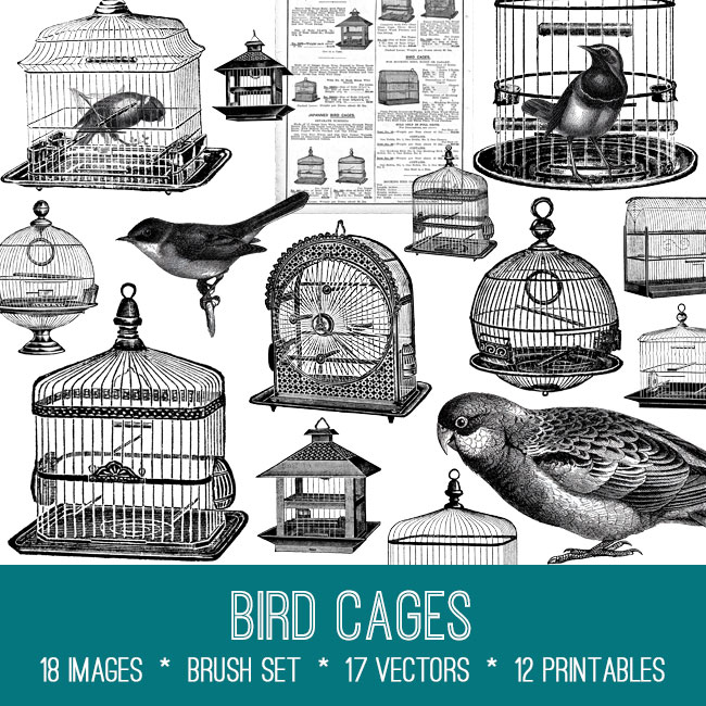 Bird Cages and Birds Collage