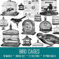 Collage of bird cages
