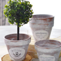 garden pots with french labels and greenery