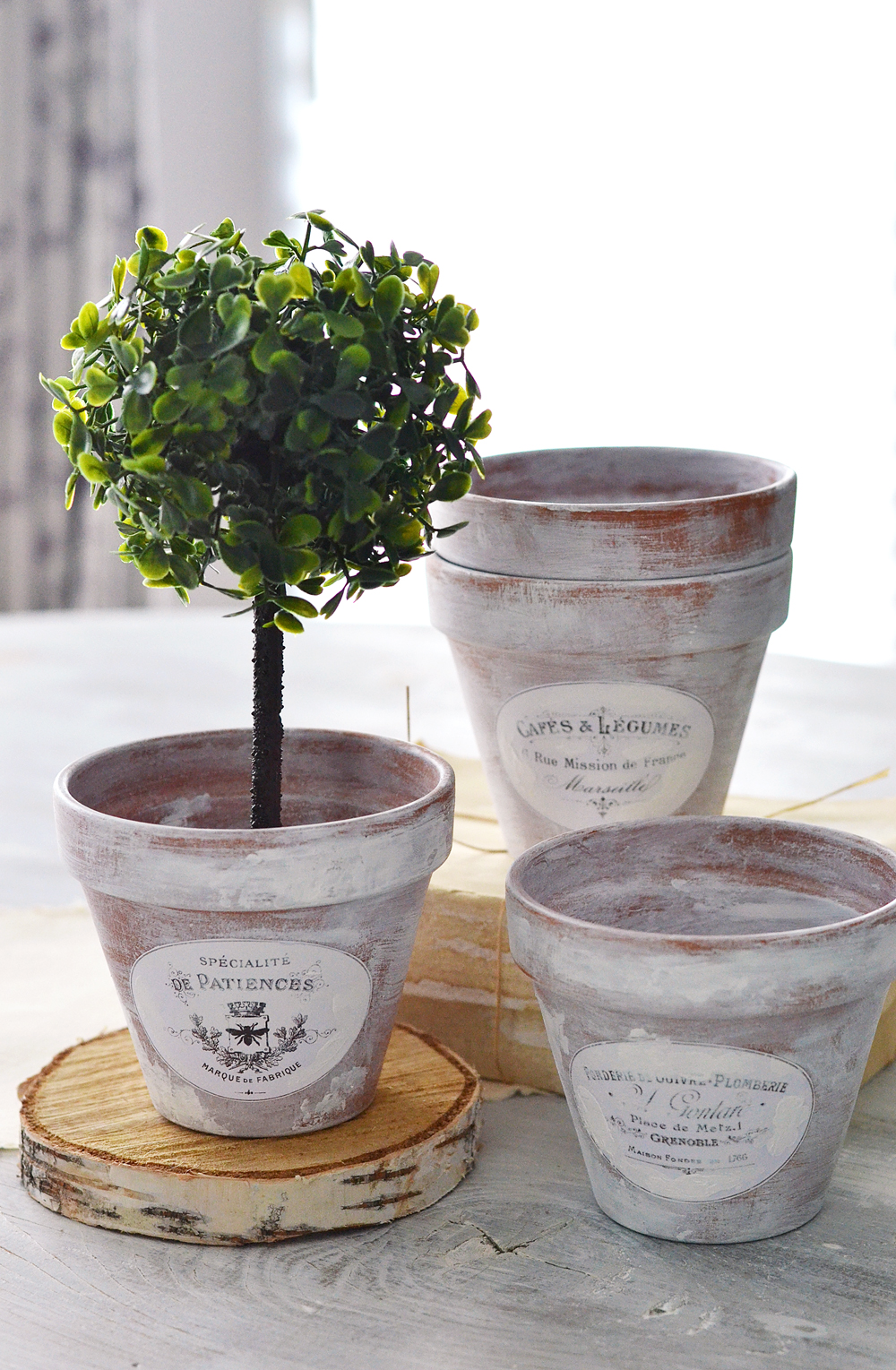 garden pots with french labels and greenery