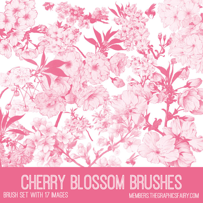 Cherry Blossoms Collage